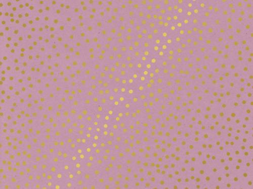 504 dessin "Polka rose"
