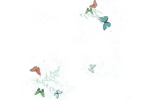 P2816 "farfalla"