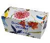 638 dessin "Manaus"